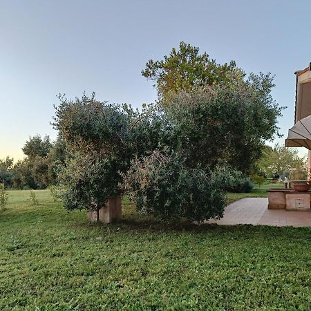 Agriturismo Fontelupo Браччано Екстер'єр фото
