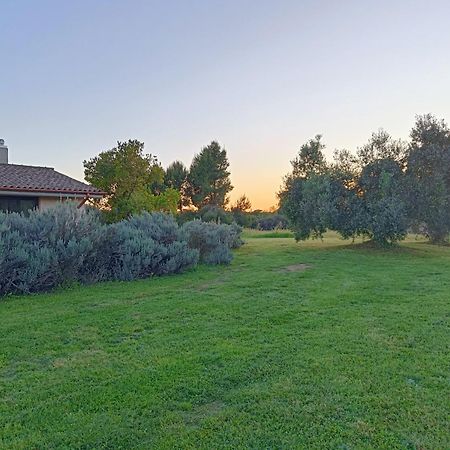 Agriturismo Fontelupo Браччано Екстер'єр фото