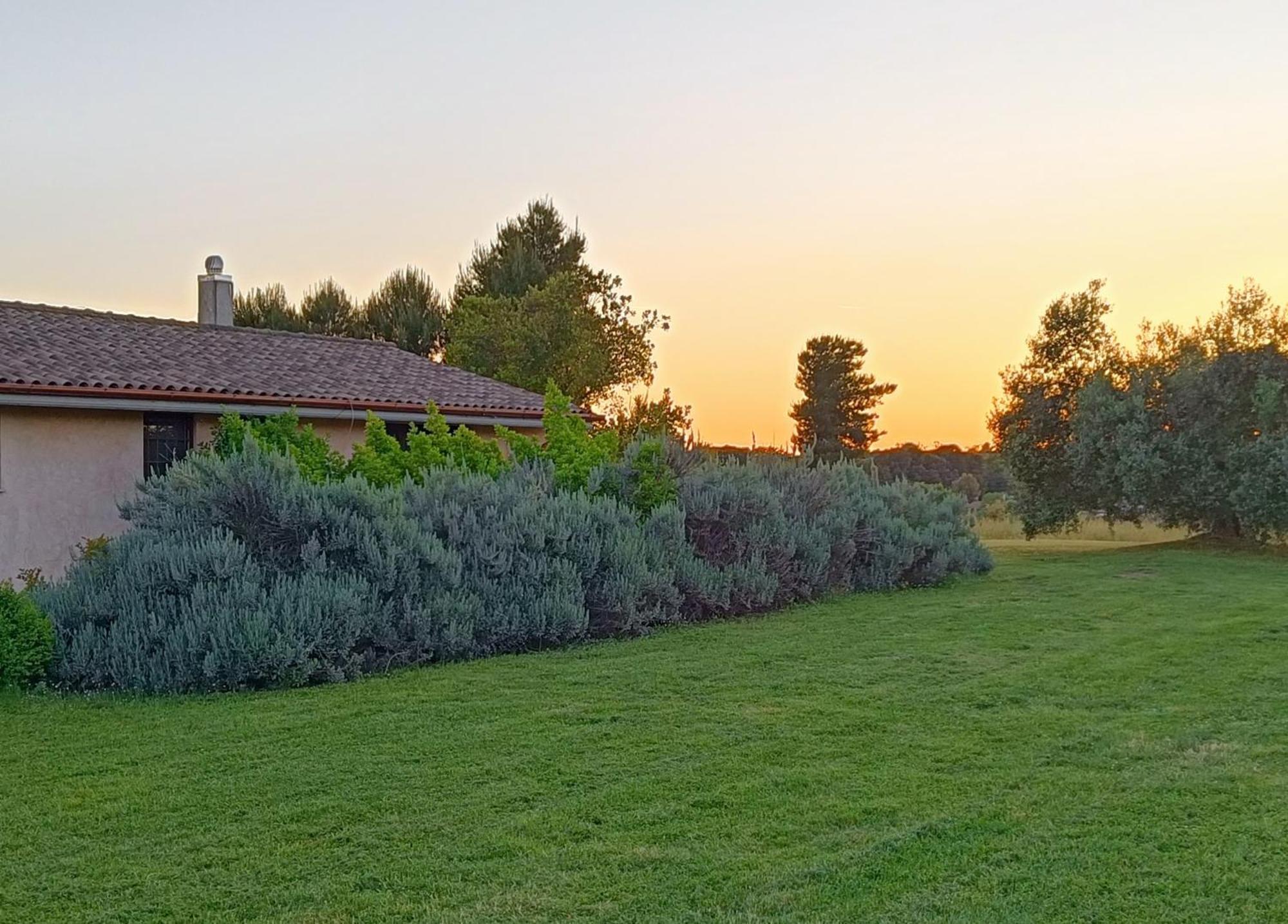 Agriturismo Fontelupo Браччано Екстер'єр фото